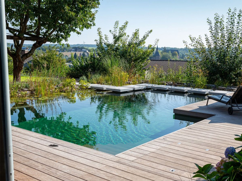 Naturnaher Schwimmteich mit Filterzone, Pflanzen und Chemiefreier Wasseraufbereitung im Garten