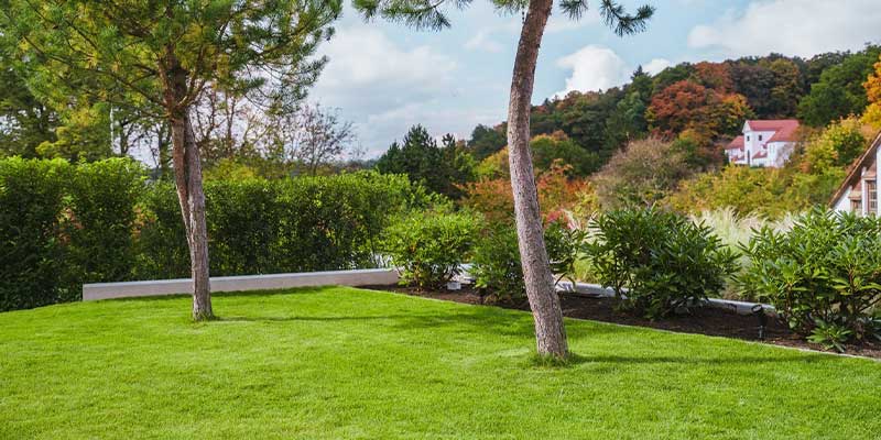 artentrends 2026 in Augsburg, Dillingen, Ulm und Günzburg – moderner, naturnaher Garten mit Trend-Elementen