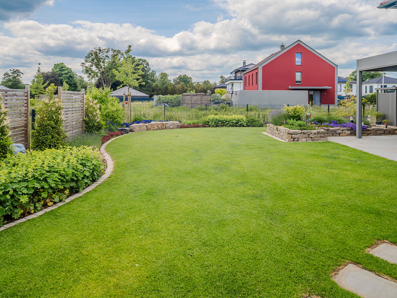 Vertikutieren des Rasens zur Entfernung von Moos und Rasenfilz im Garten in Ulm und Dillingen