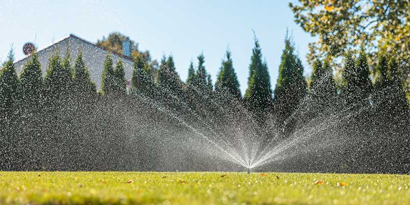 Automatische Bewässerungsanlage versorgt Rasen und Pflanzen gleichmäßig mit Wasser