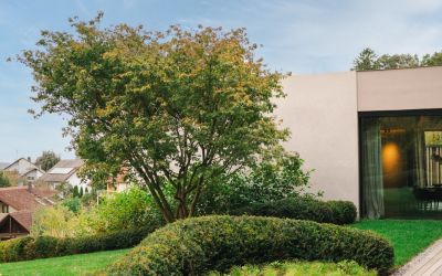 Hochwertiger Gartenbau für eine Villa im Landkreis Günzburg